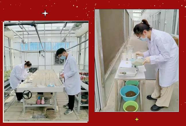 鸿运国际·(中国)最新官方网站